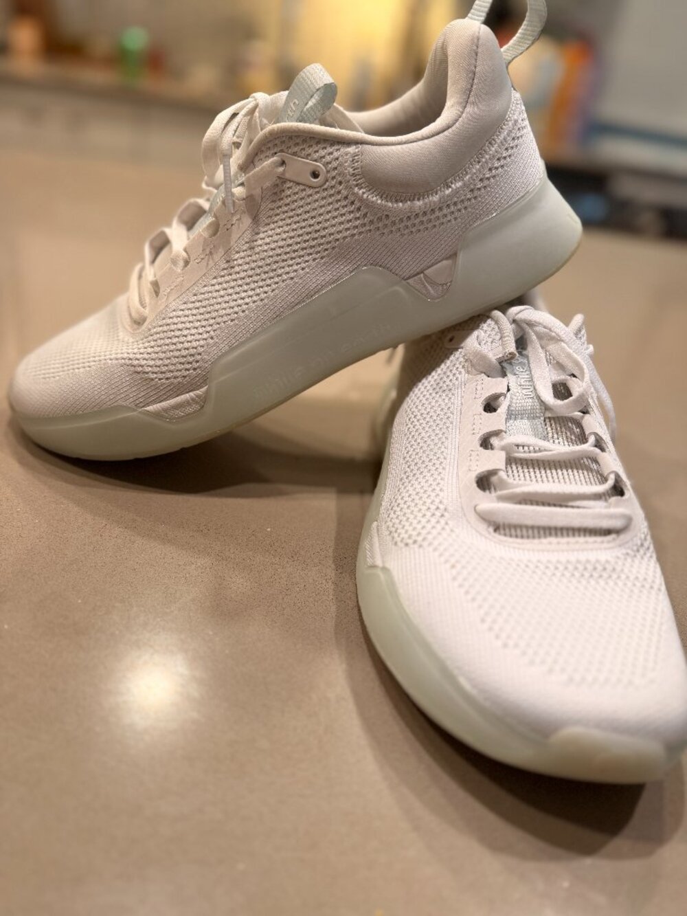 While on Earth Move Trainer